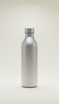 Double-Walled Stainless Water Bottle